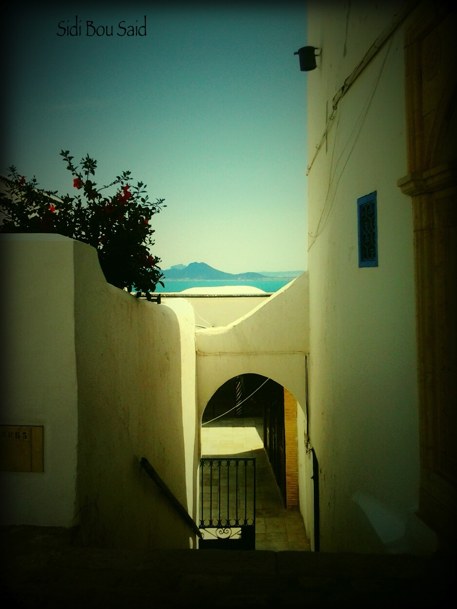 Sidi Bou Said, un pueblo pesquero al norte de Túnez